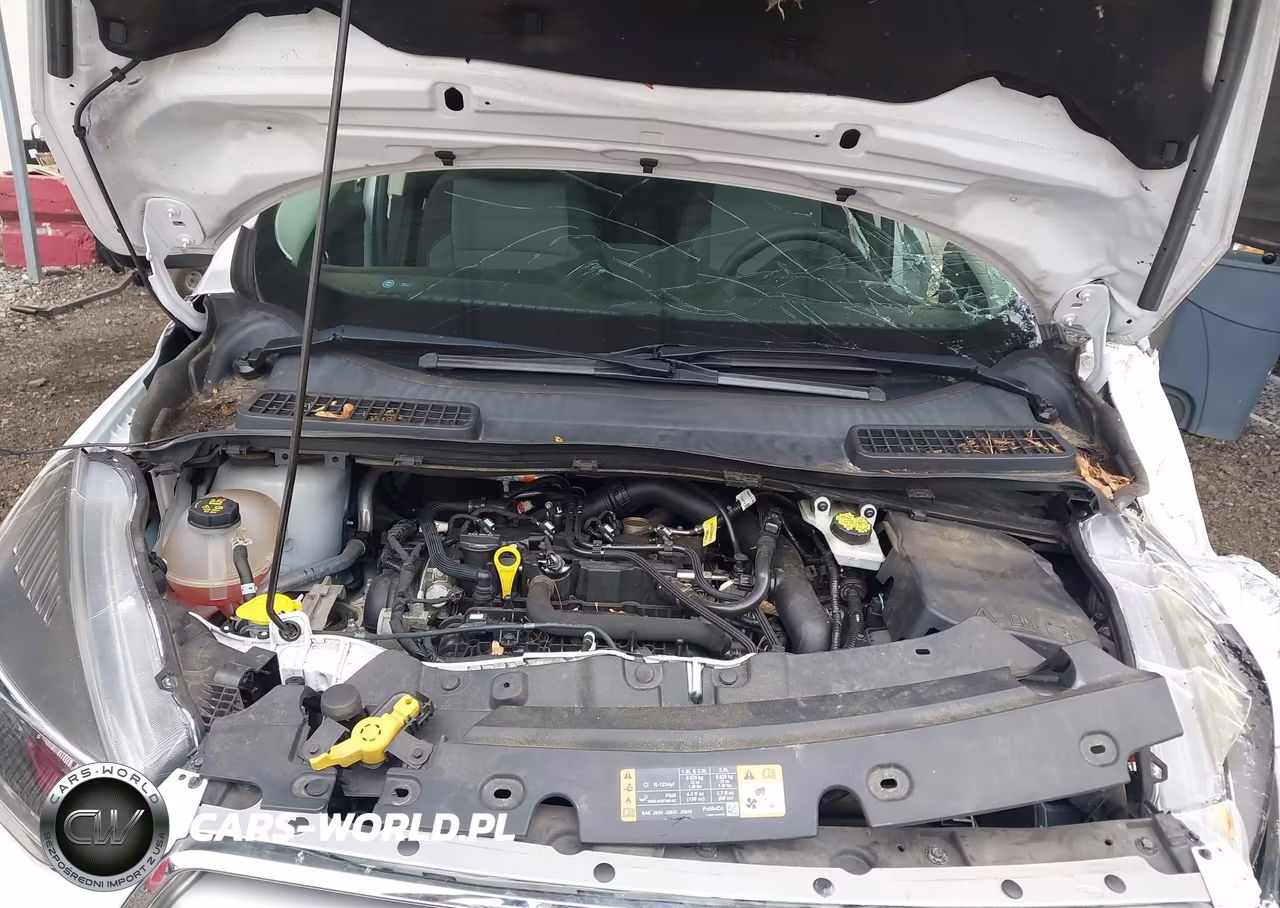 2019 Ford Escape Se VIN:1FMCU9GD6KUA84511 - 10