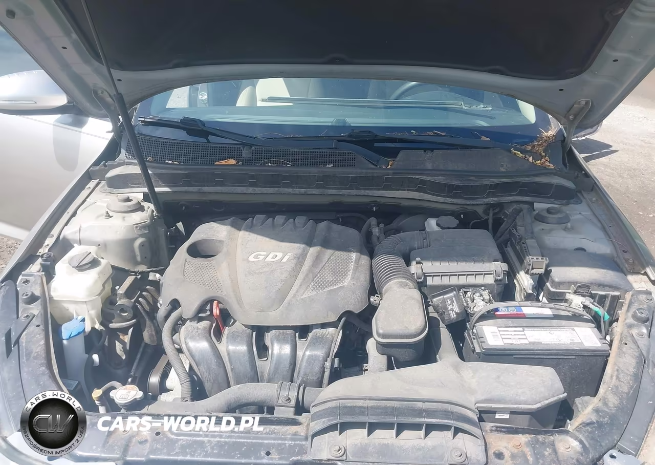 2014 Kia Optima Lx VIN:KNAGM4A77E5480454 - 10