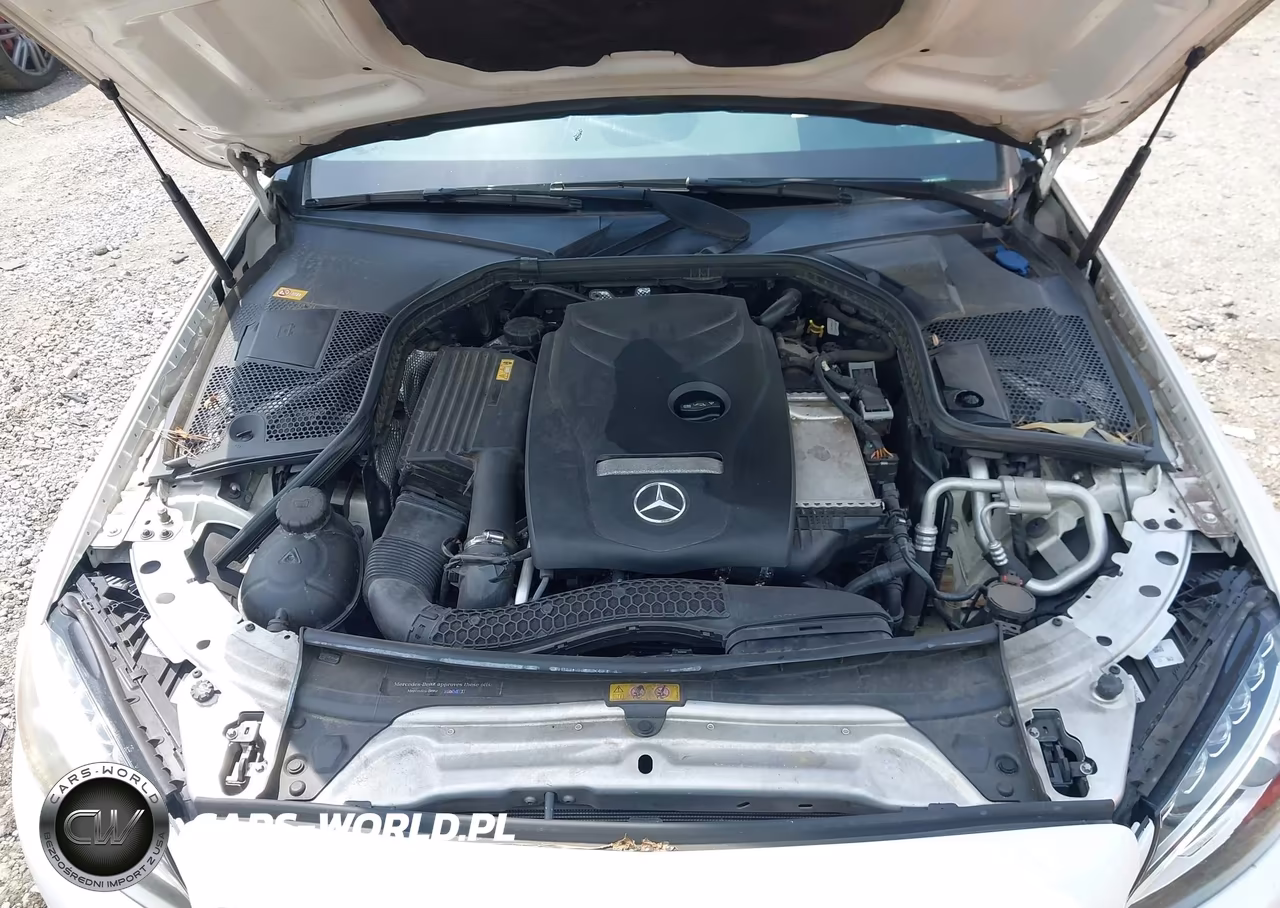 2016 Mercedes-Benz C 300 VIN:55SWF4JB3GU102290 - 10