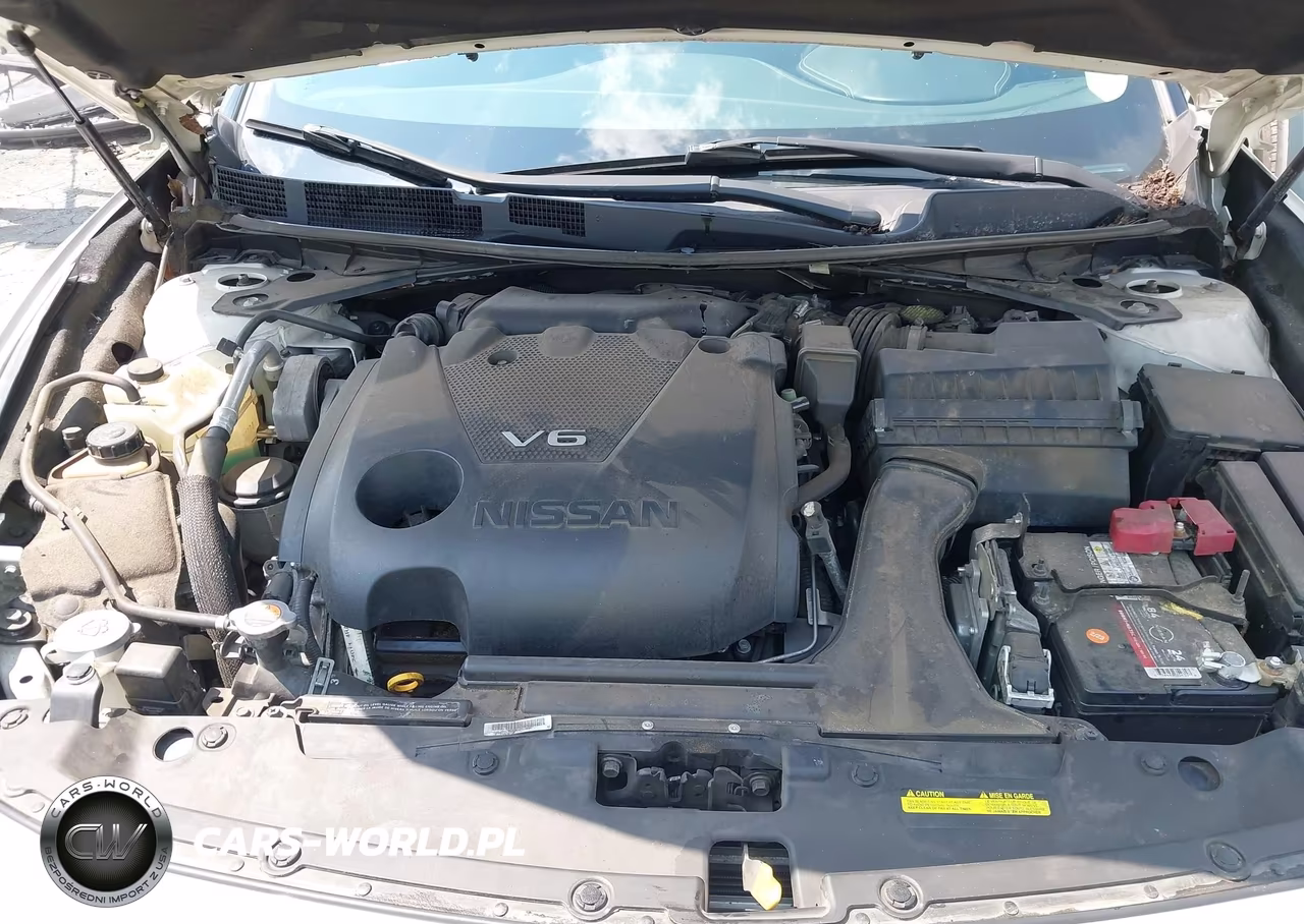 2016 Nissan Maxima 3.5 Sv VIN:1N4AA6AP8GC425934 - 10