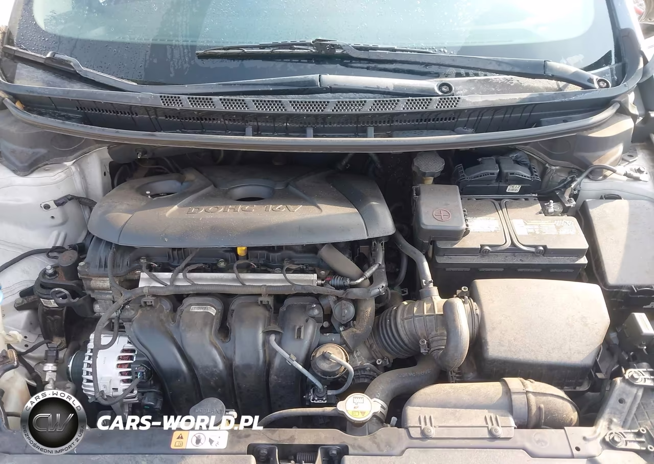 2016 Kia Forte Lx VIN:KNAFK4A60G5492652 - 10