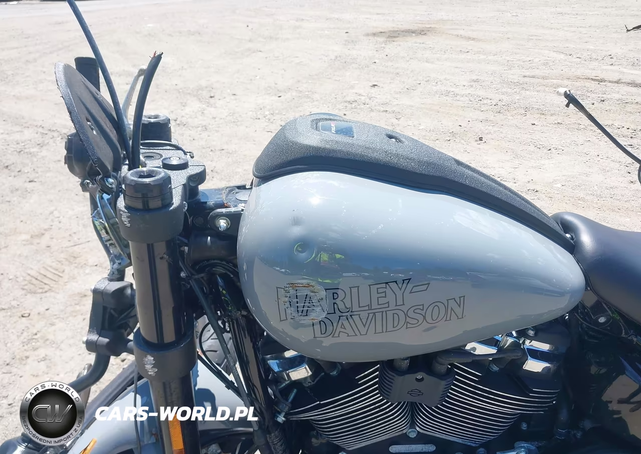 2026 Harley-Davidson Fxlrs VIN:1HD1YWA14TB017415 - 17
