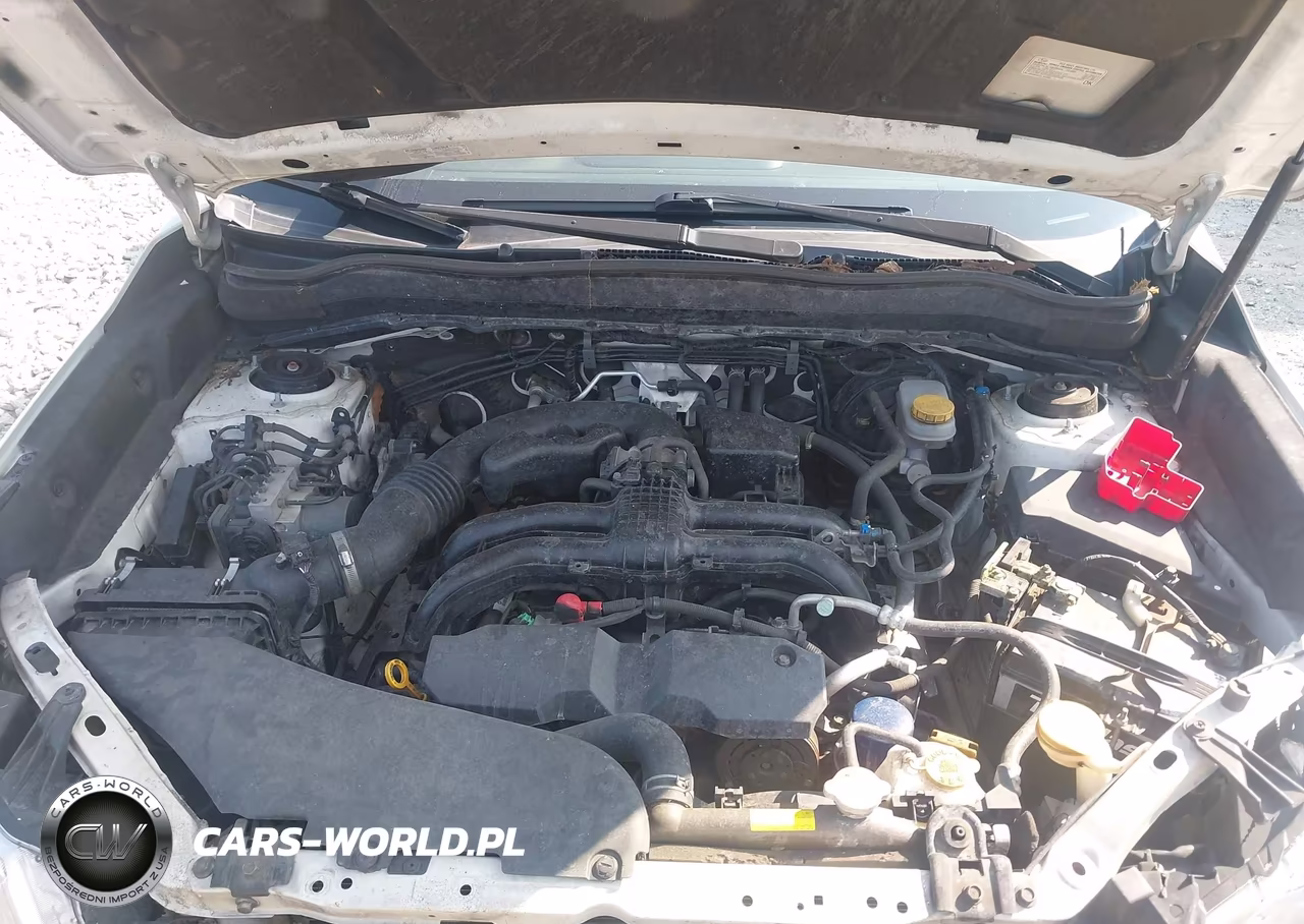 2016 Subaru Forester 2.5I Premium VIN:JF2SJAFCXGH529417 - 10