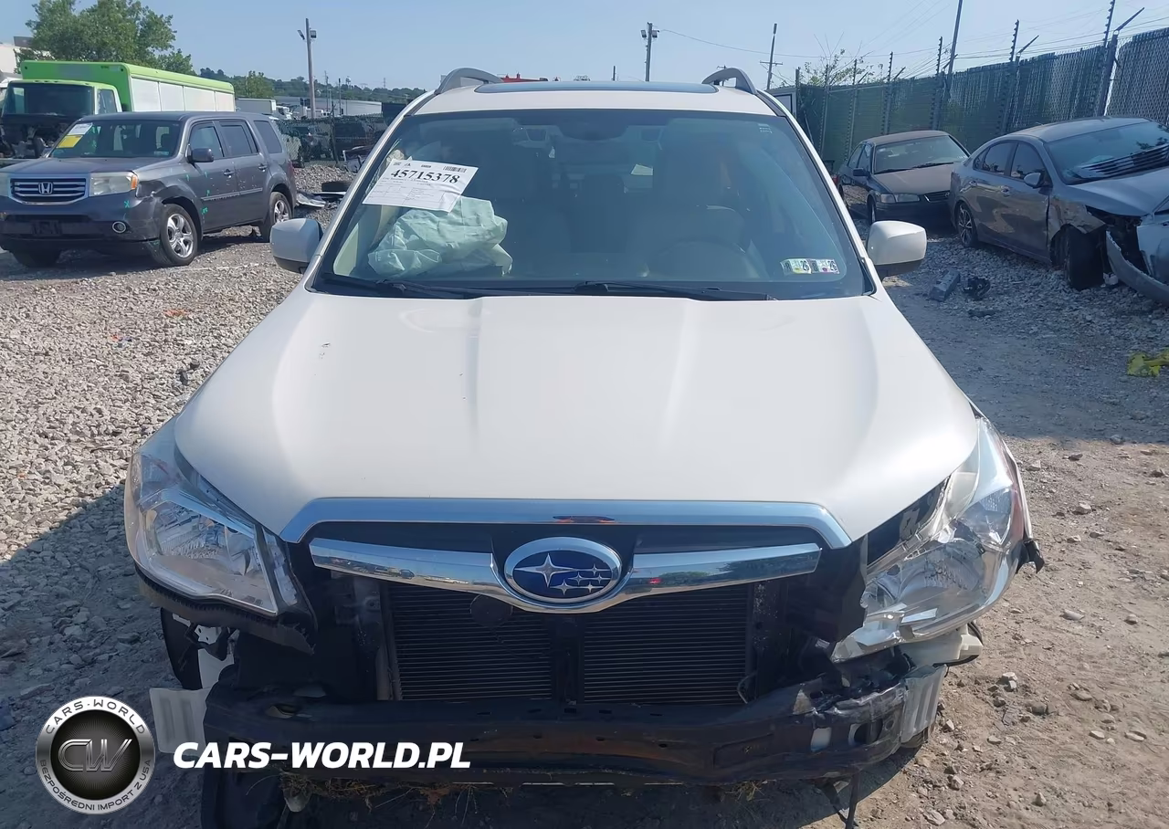 2016 Subaru Forester 2.5I Premium VIN:JF2SJAFCXGH529417 - 12