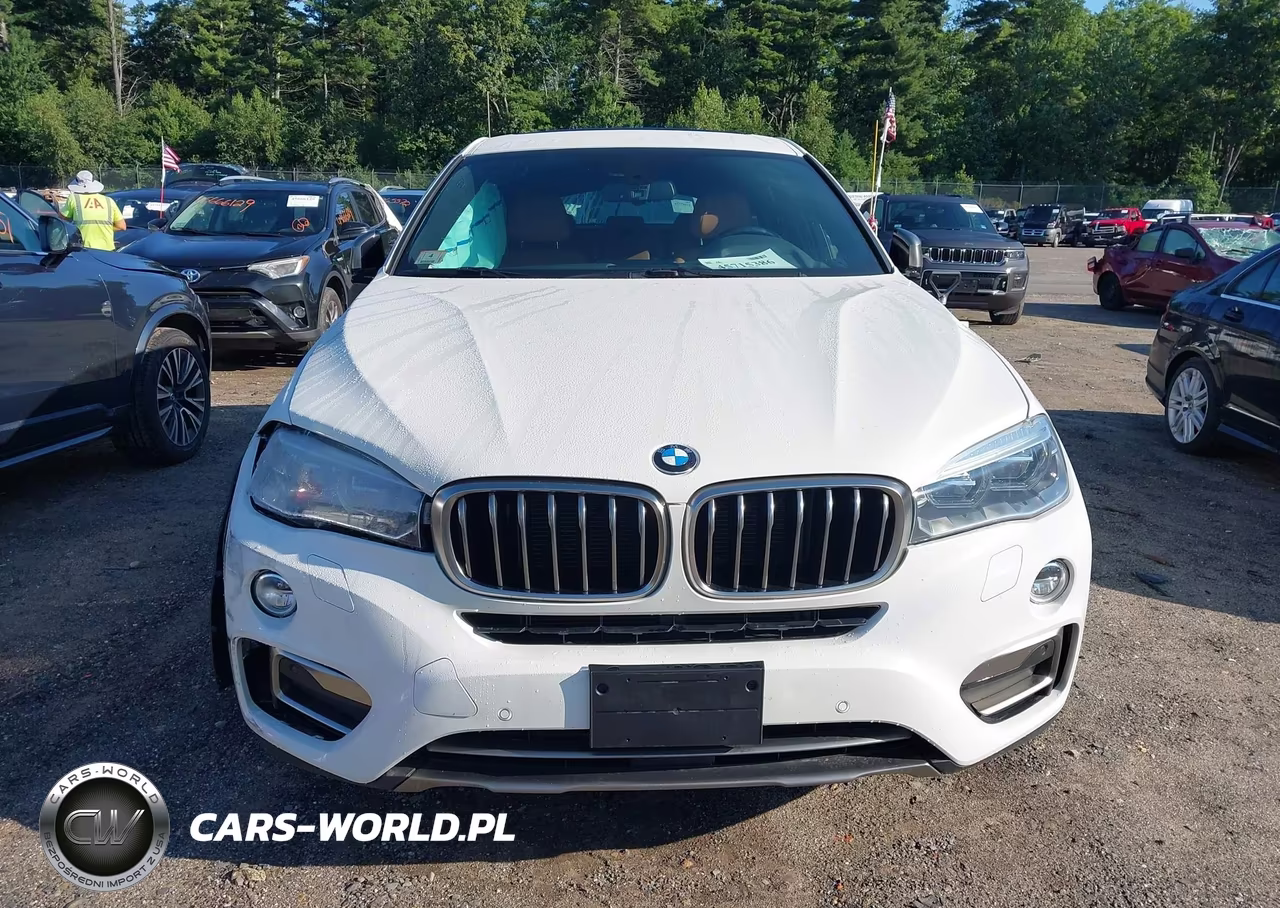 2017 BMW X6 xDrive35I VIN:5UXKU2C32H0N85530 - 11