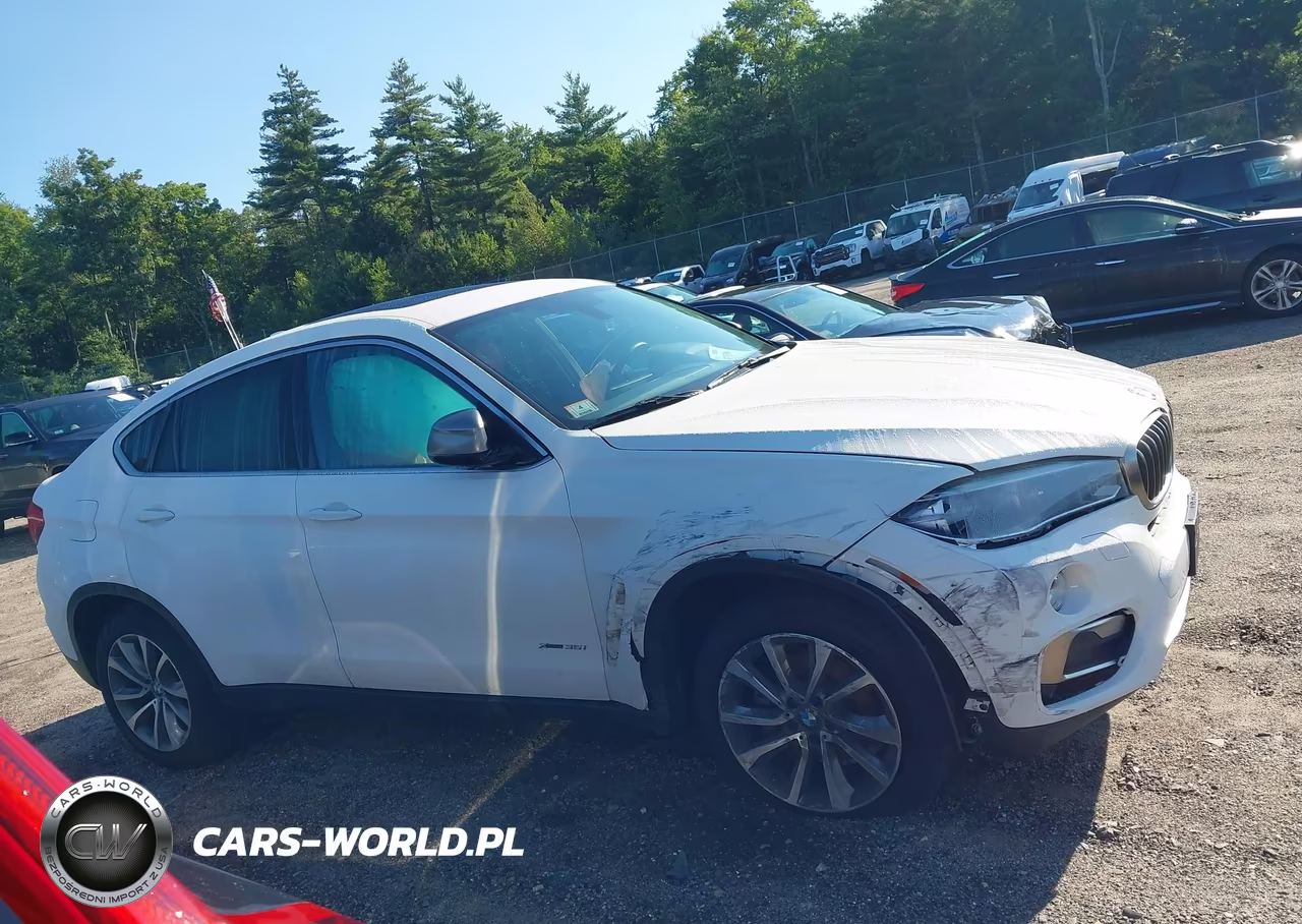 2017 BMW X6 xDrive35I VIN:5UXKU2C32H0N85530 - 12