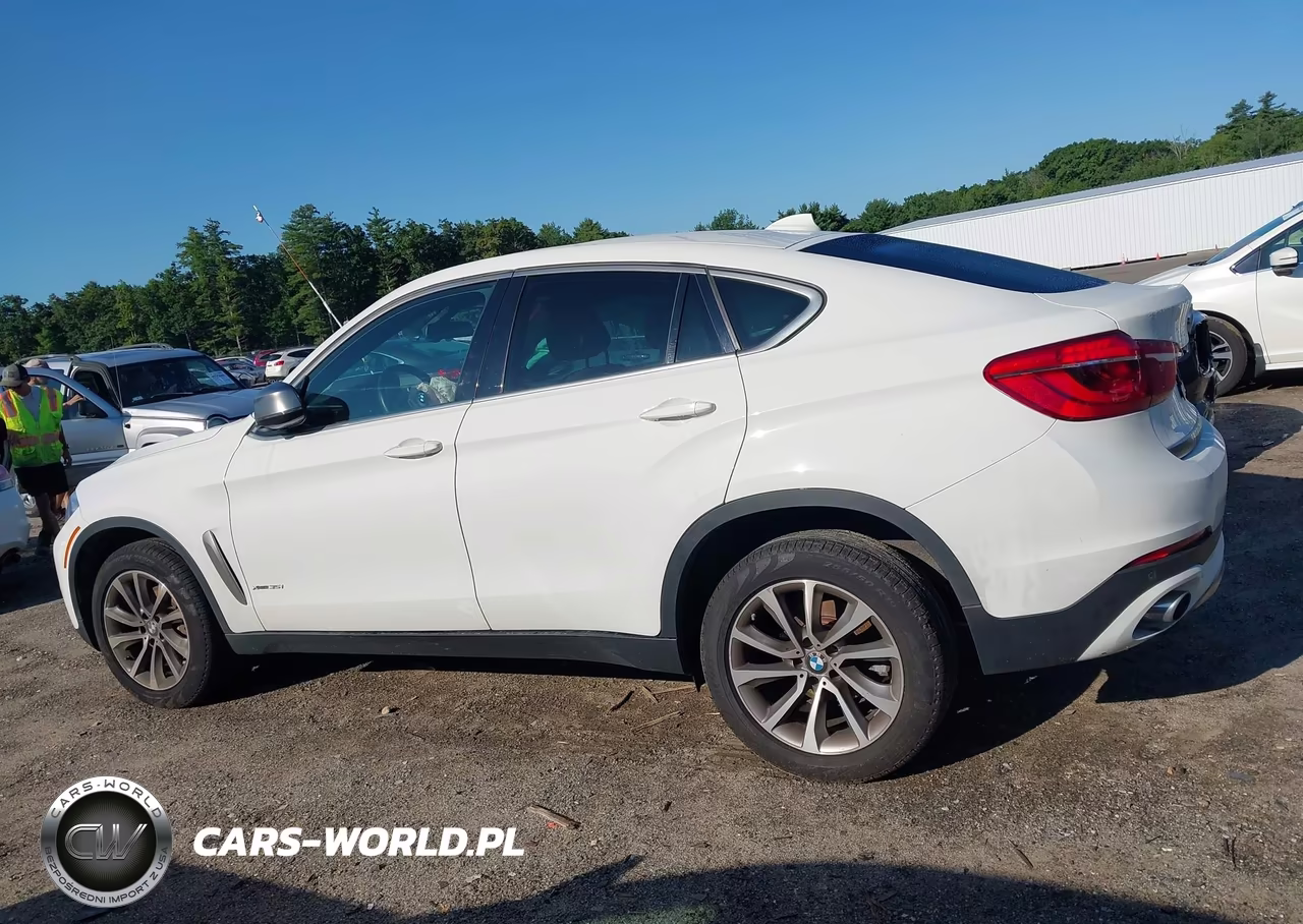 2017 BMW X6 xDrive35I VIN:5UXKU2C32H0N85530 - 13