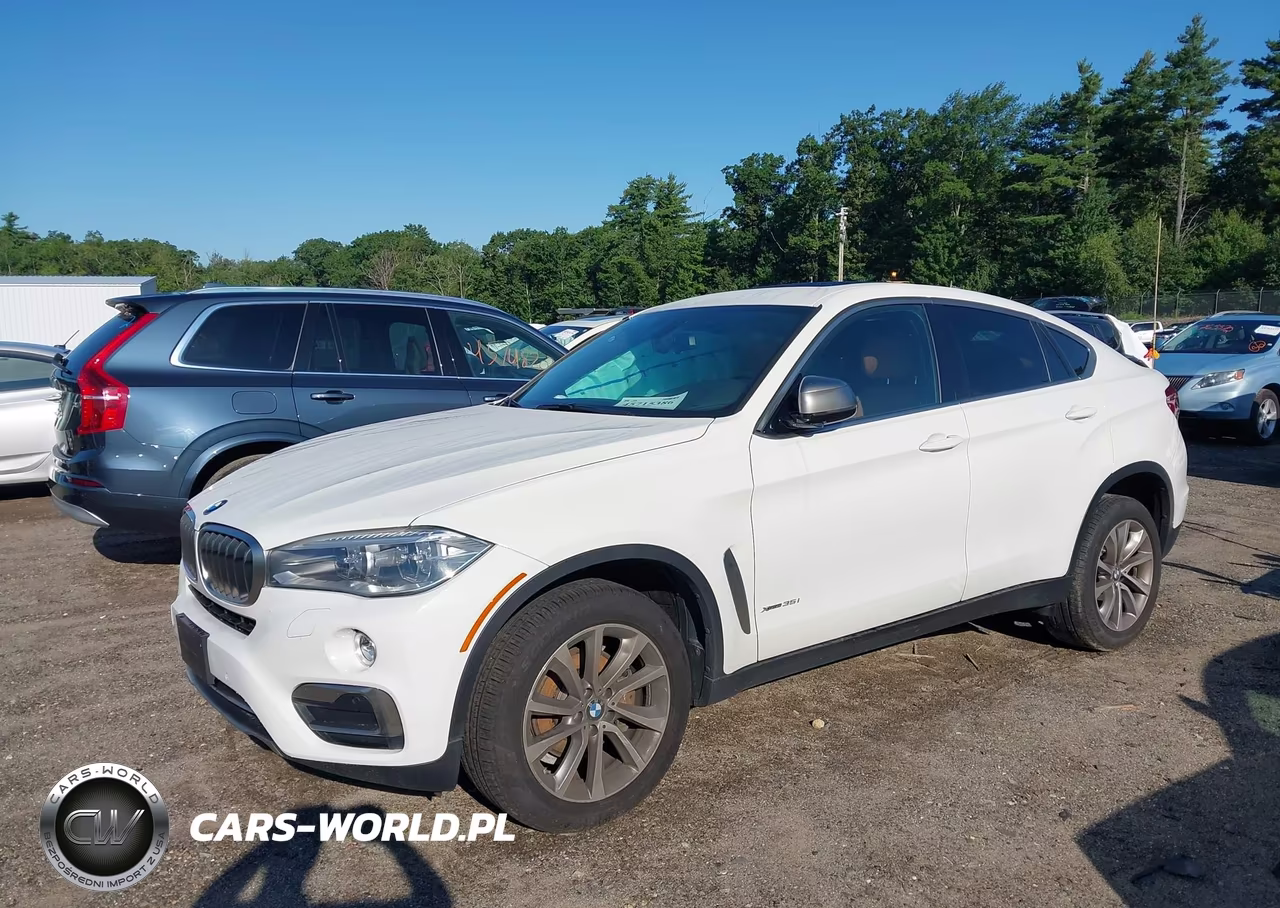2017 BMW X6 xDrive35I VIN:5UXKU2C32H0N85530 - 2