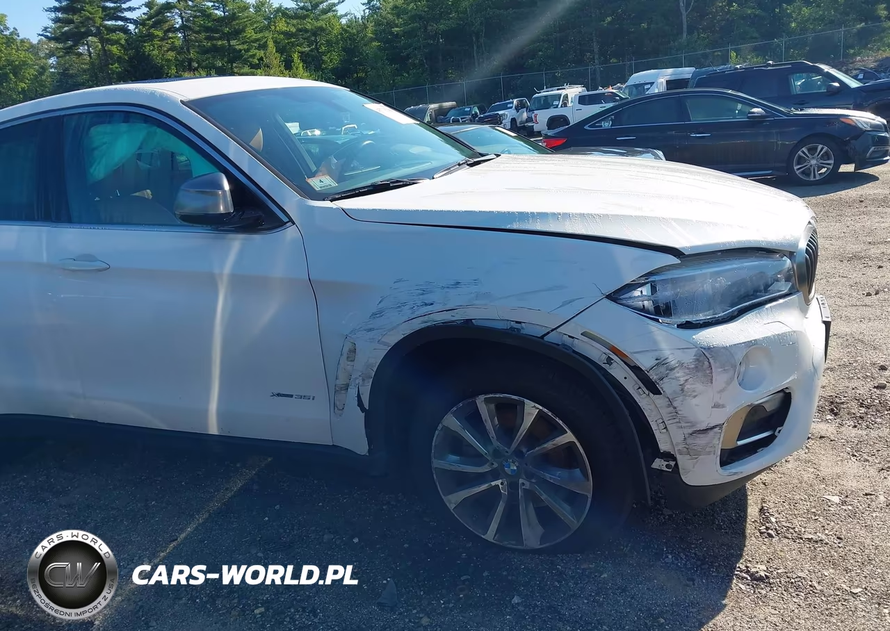 2017 BMW X6 xDrive35I VIN:5UXKU2C32H0N85530 - 6