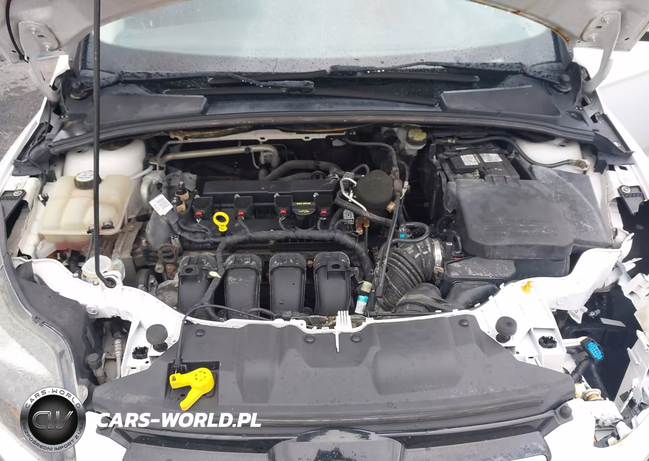 2013 Ford Focus Titanium VIN:1FADP3J20DL113603 - 10