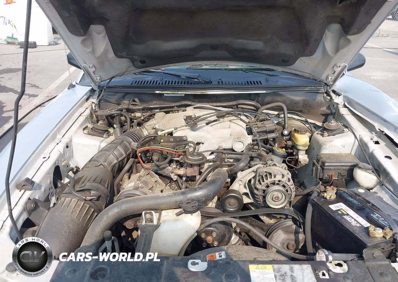 2004 Ford Mustang VIN:1FAFP44494F126697 - 10
