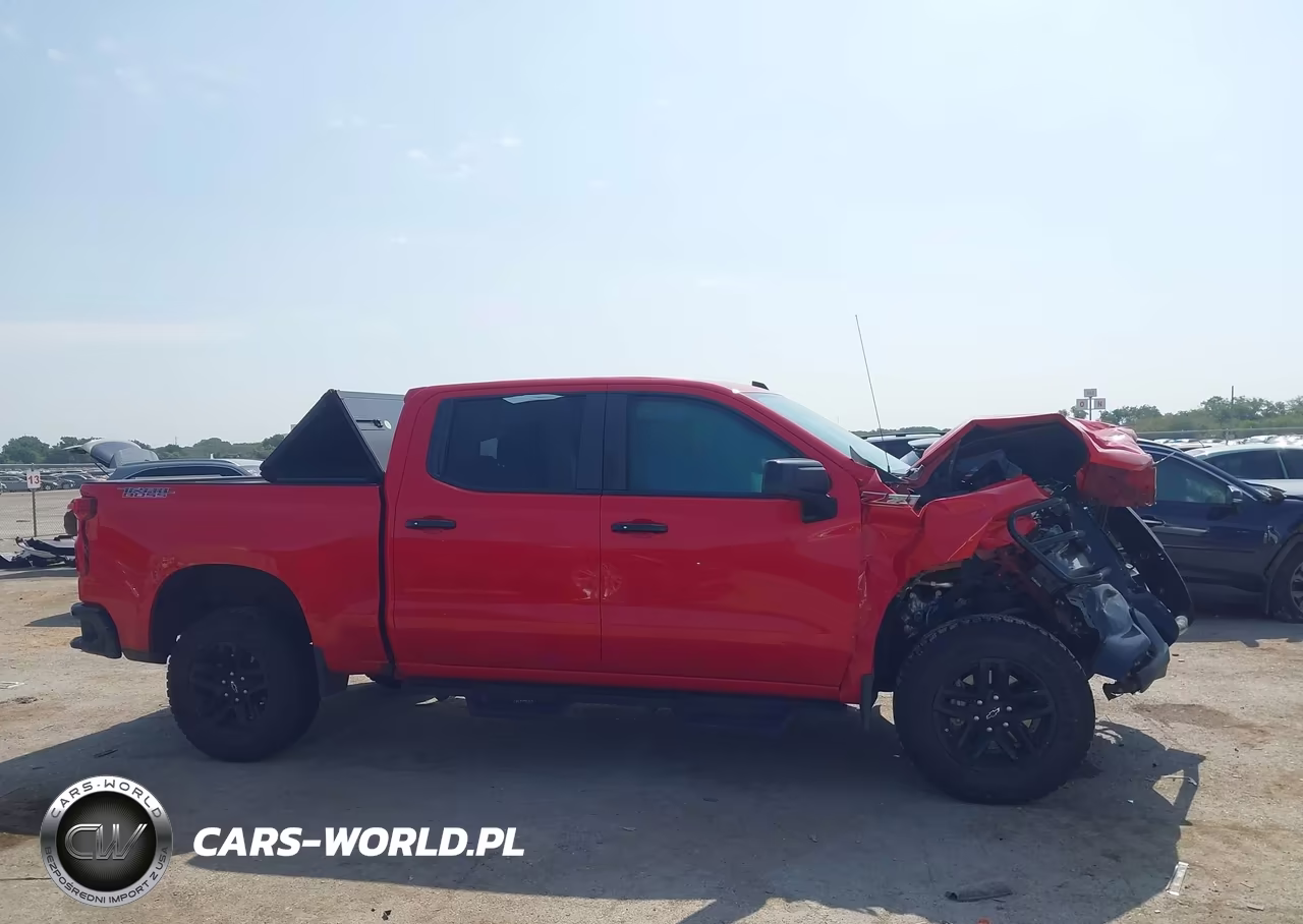 2019 Chevrolet Silverado 1500 Lt Trail Boss VIN:3GCPYFED7KG135349 - 12