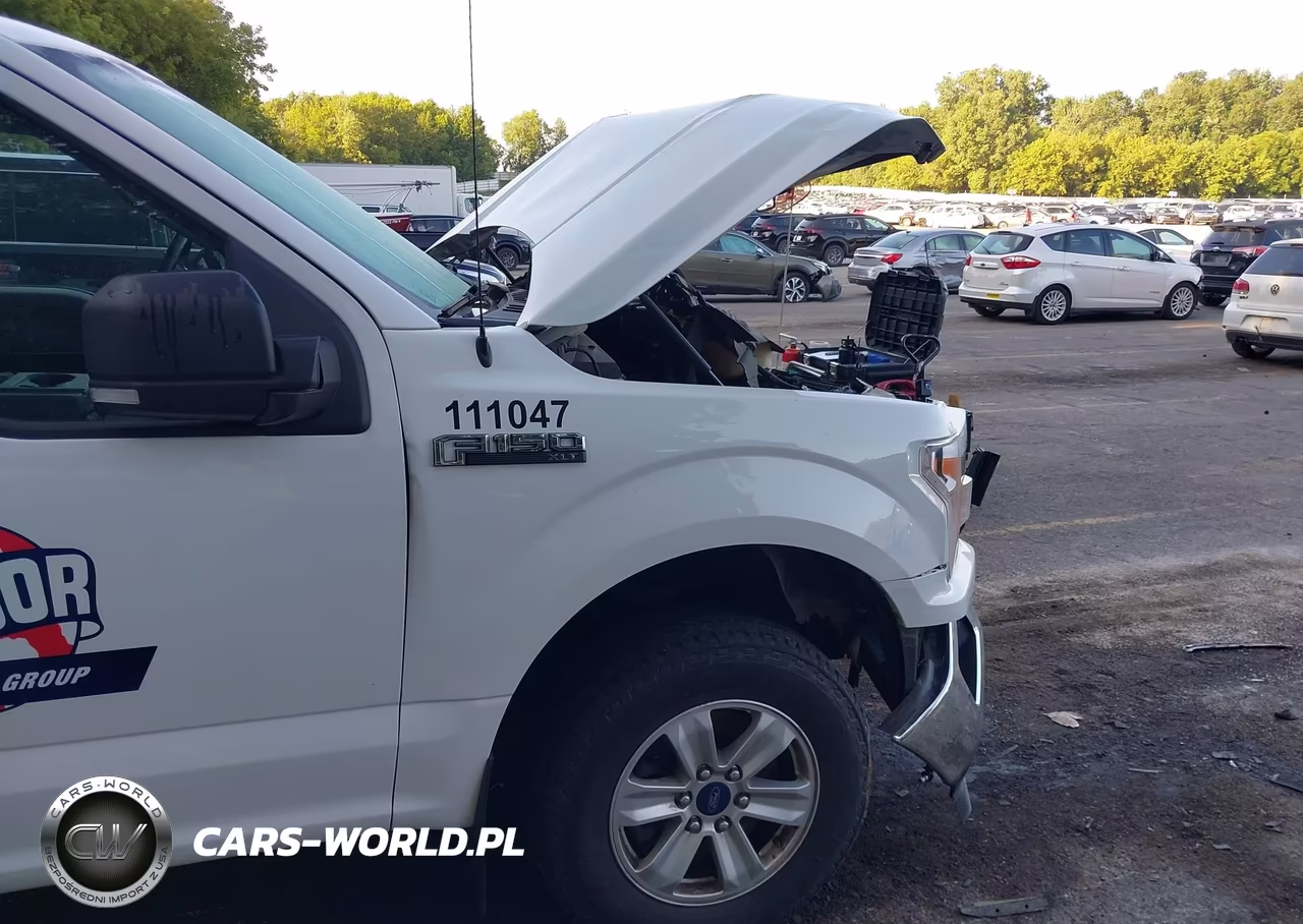 2018 Ford F-150 Xlt VIN:1FTFX1EG0JFE10927 - 10