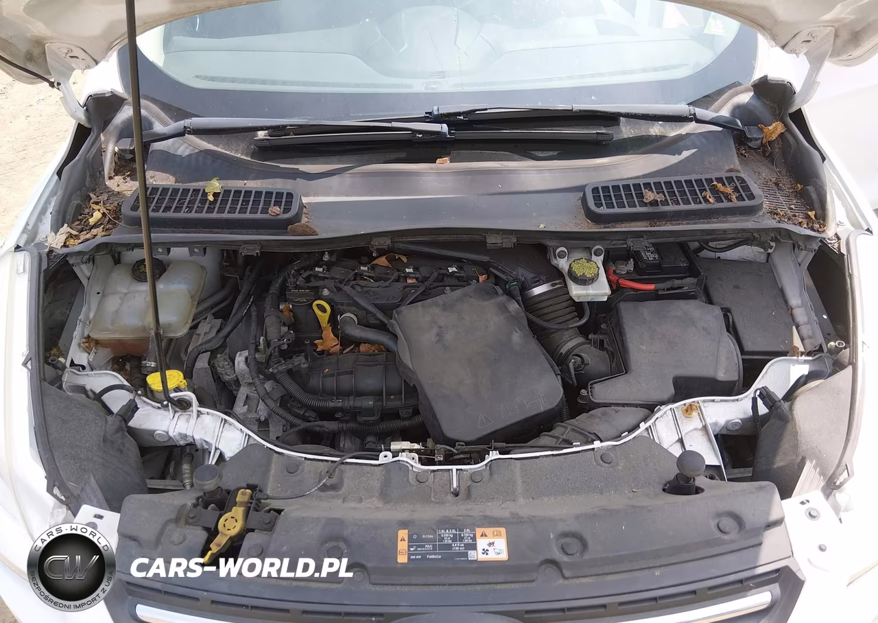 2016 Ford Escape Se VIN:1FMCU0GX4GUC67144 - 10