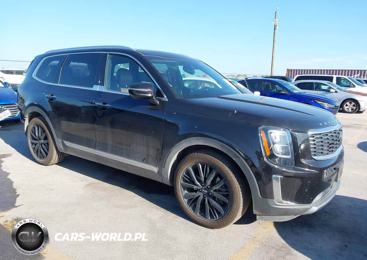 2020 Kia Telluride Sx VIN:5XYP5DHC3LG086618 - 1