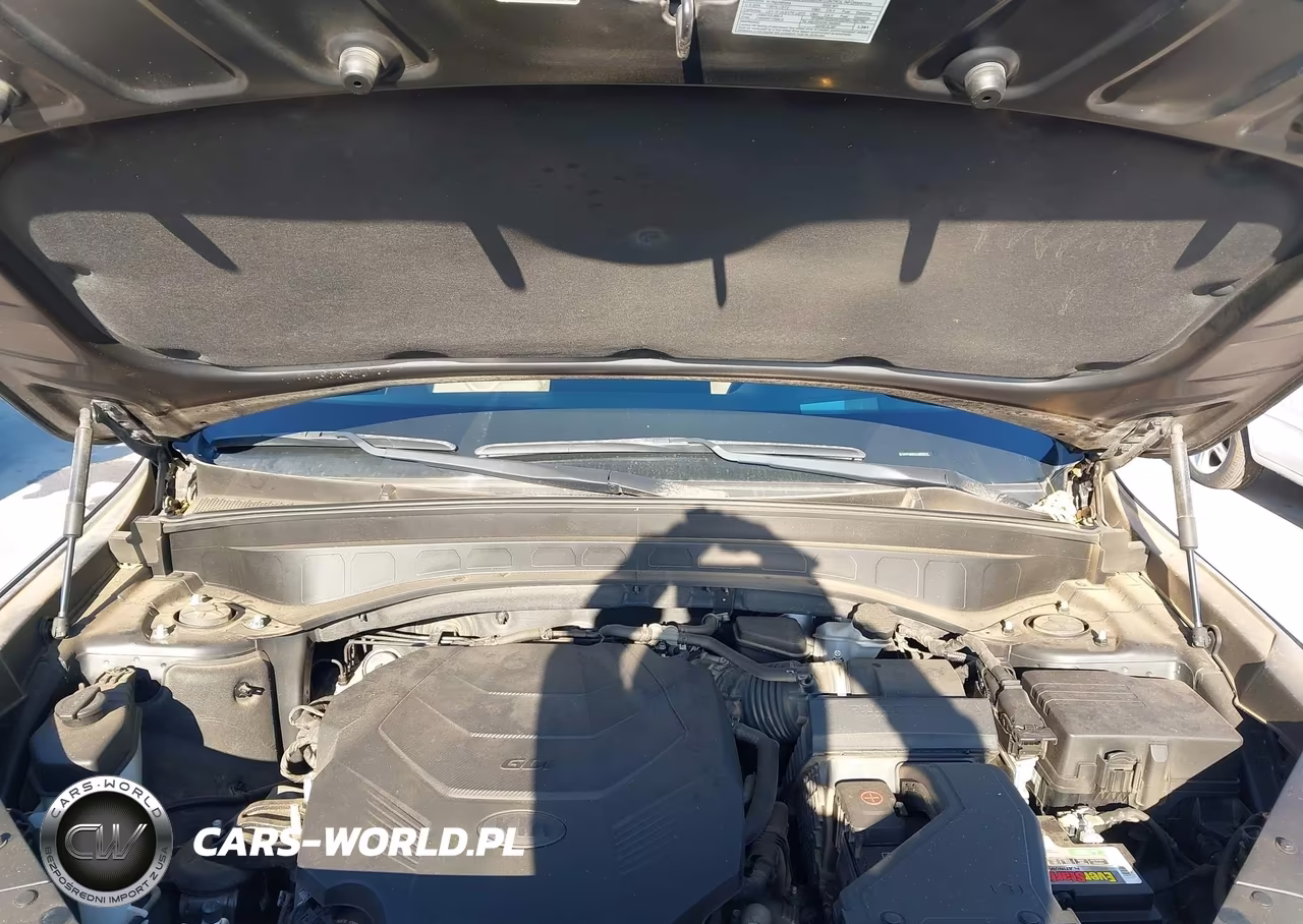 2020 Kia Telluride Sx VIN:5XYP5DHC3LG086618 - 10
