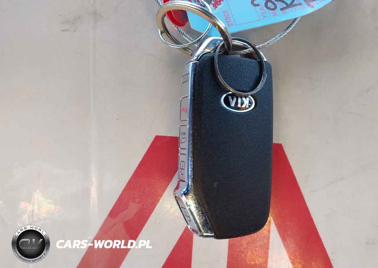 2020 Kia Telluride Sx VIN:5XYP5DHC3LG086618 - 11