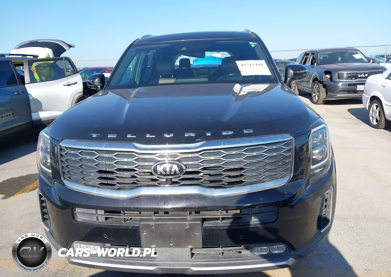 2020 Kia Telluride Sx VIN:5XYP5DHC3LG086618 - 13