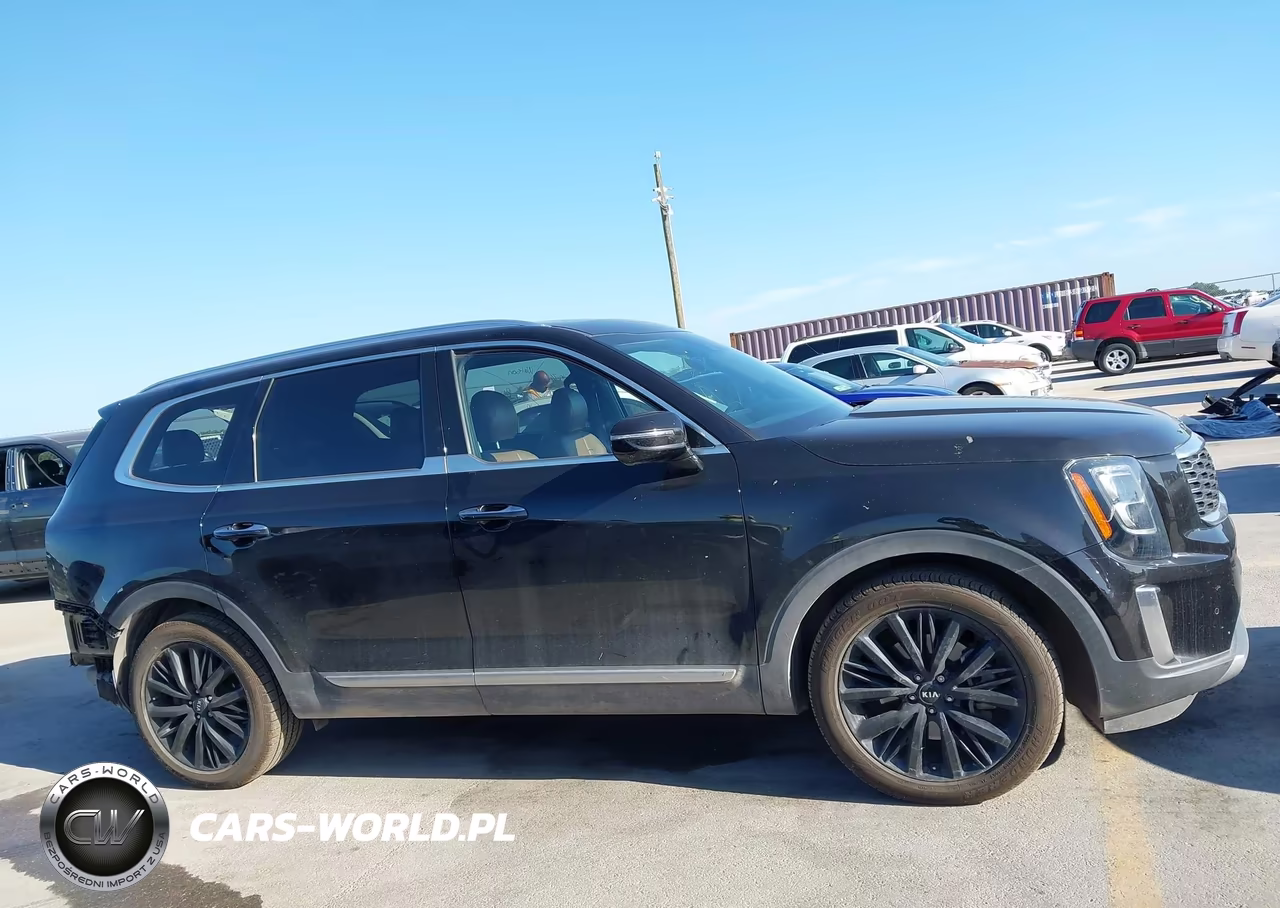 2020 Kia Telluride Sx VIN:5XYP5DHC3LG086618 - 14