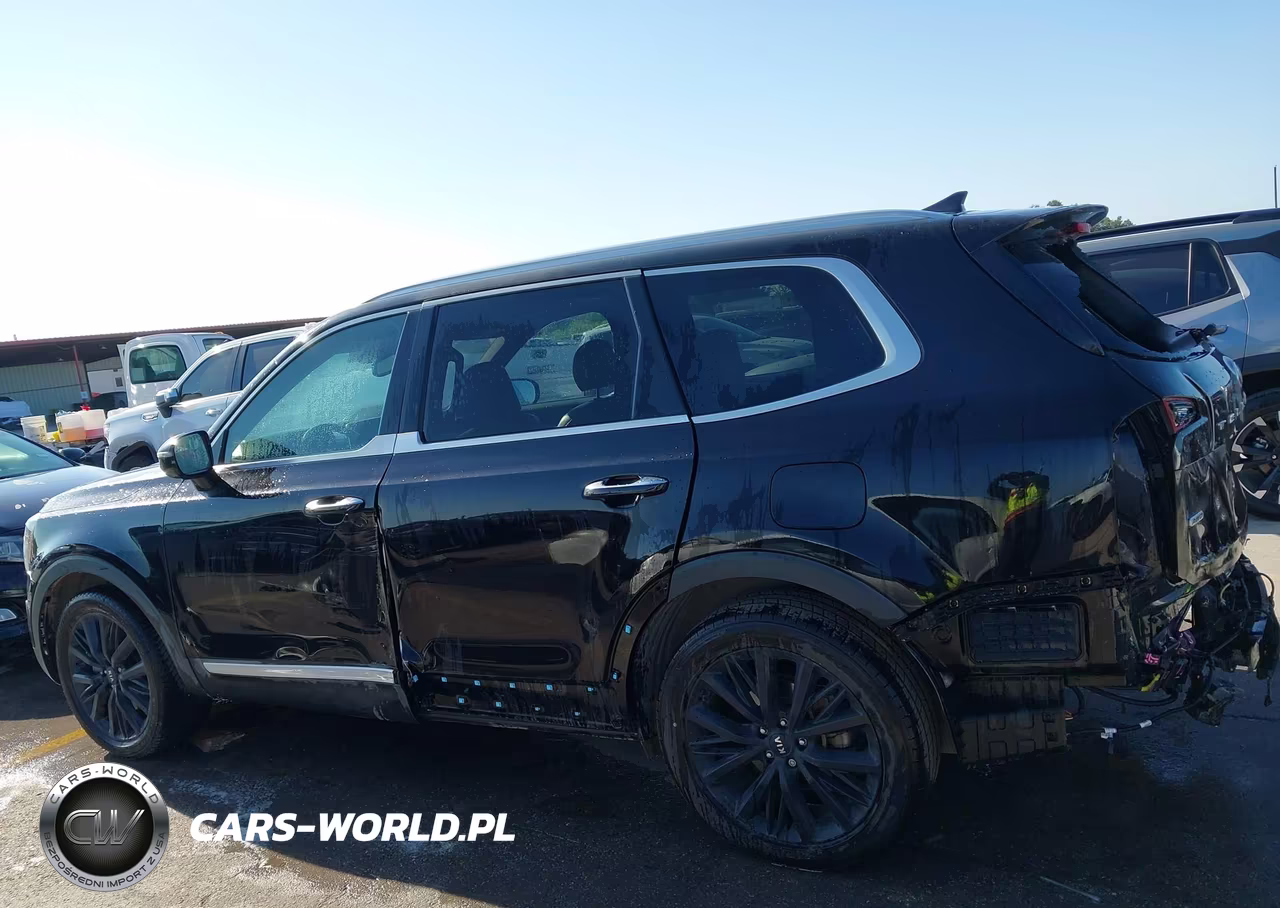 2020 Kia Telluride Sx VIN:5XYP5DHC3LG086618 - 15