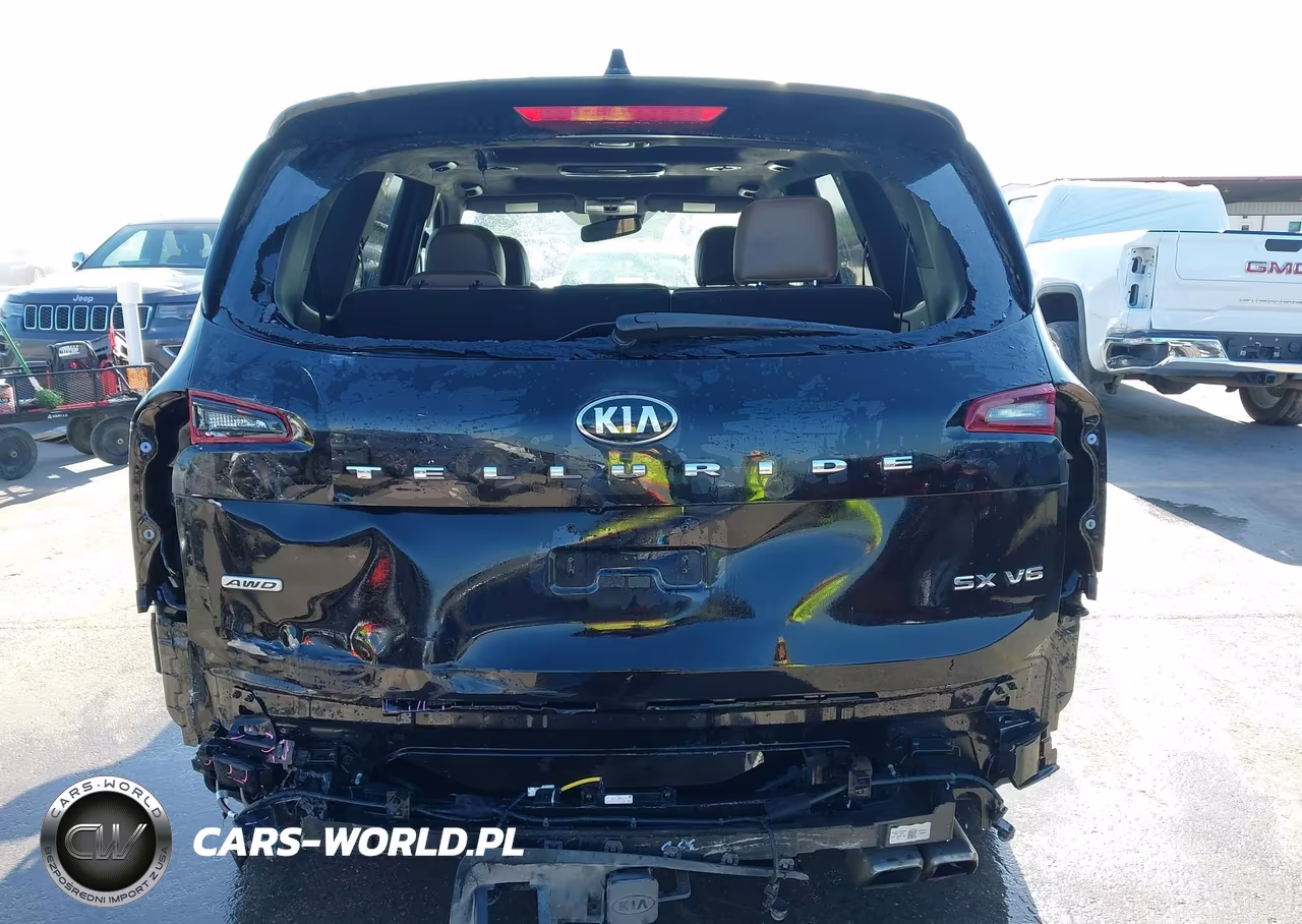 2020 Kia Telluride Sx VIN:5XYP5DHC3LG086618 - 17