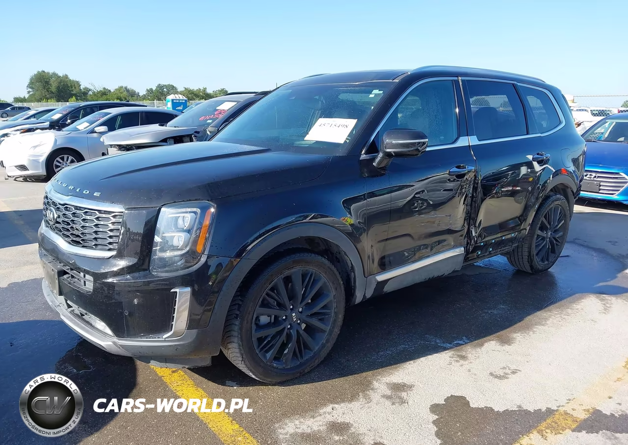 2020 Kia Telluride Sx VIN:5XYP5DHC3LG086618 - 2