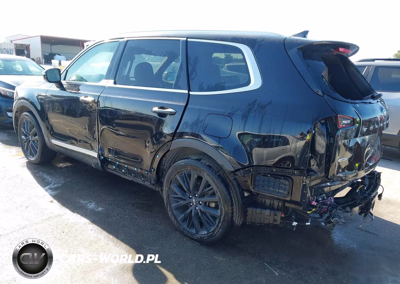 2020 Kia Telluride Sx VIN:5XYP5DHC3LG086618 - 3