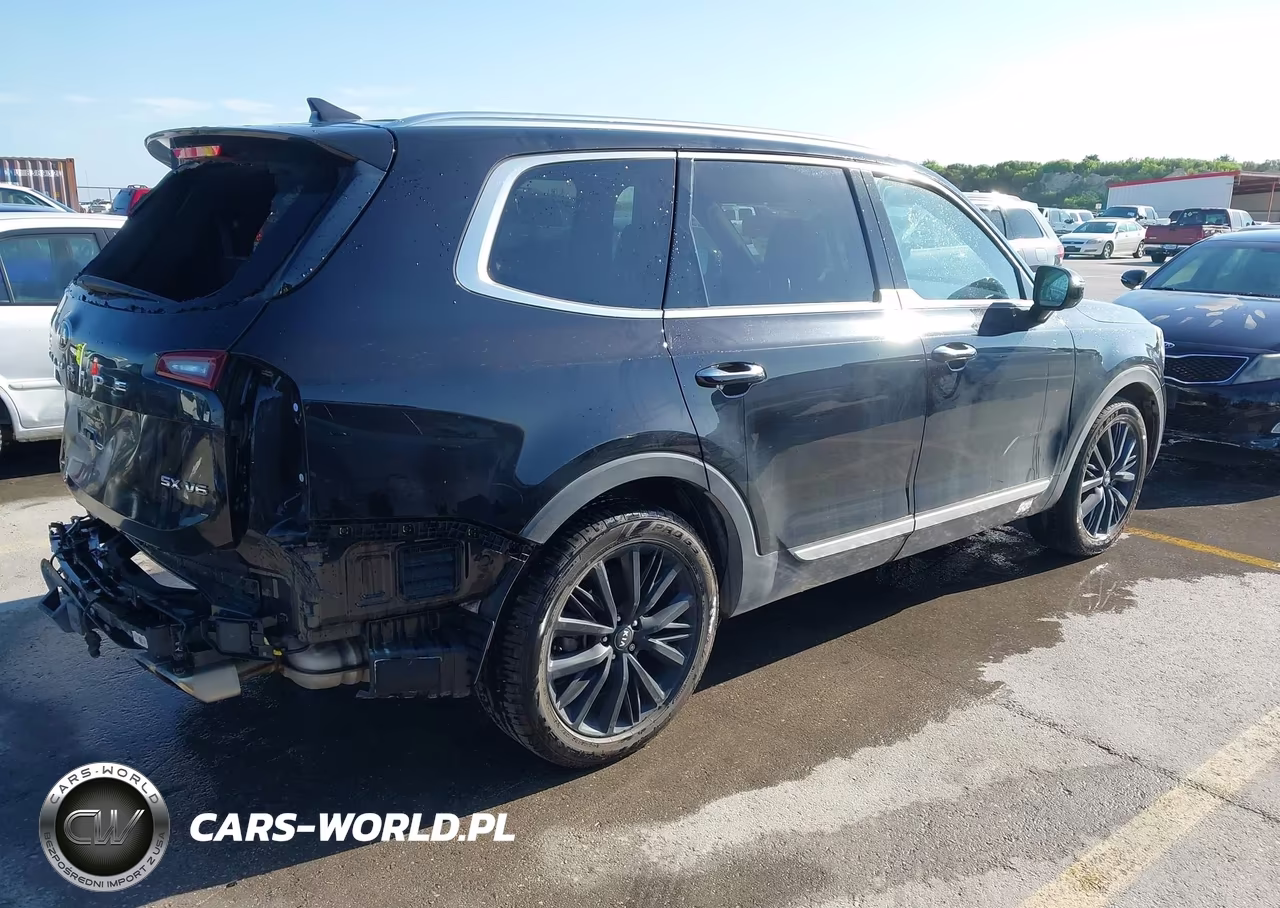 2020 Kia Telluride Sx VIN:5XYP5DHC3LG086618 - 4
