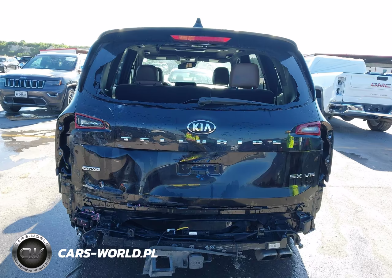 2020 Kia Telluride Sx VIN:5XYP5DHC3LG086618 - 6