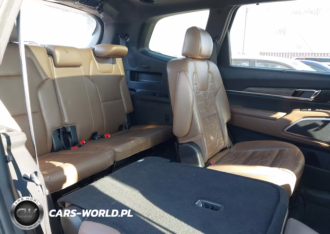 2020 Kia Telluride Sx VIN:5XYP5DHC3LG086618 - 8