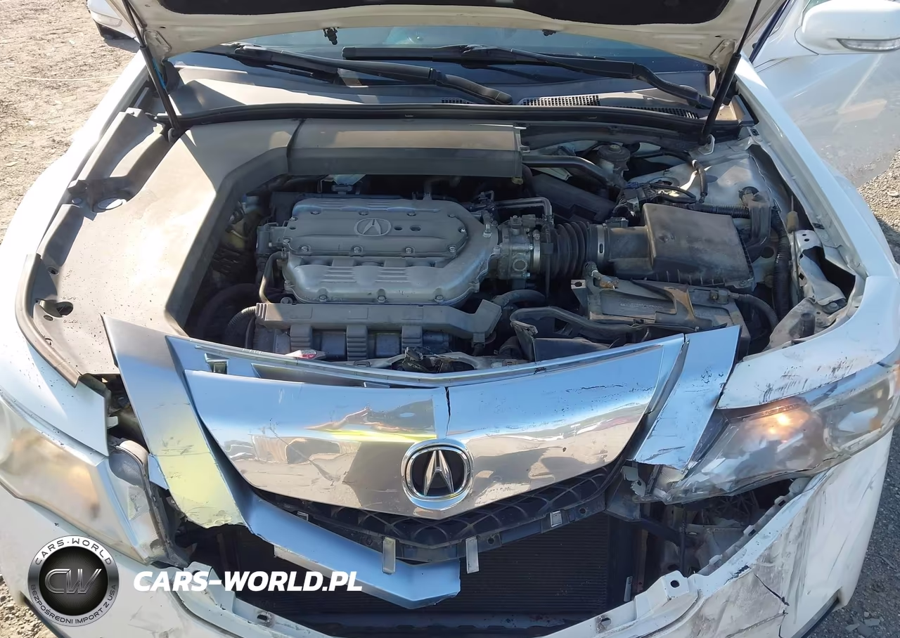 2009 Acura Tl 3.5 VIN:19UUA86519A008231 - 10