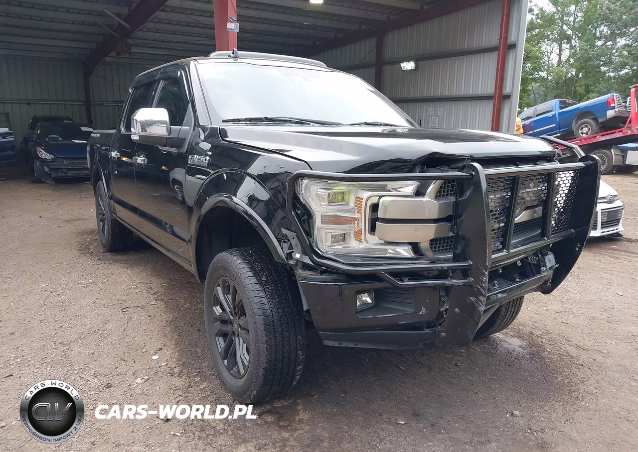 2018 Ford F-150 Platinum VIN:1FTEW1E53JFA42448 - 1