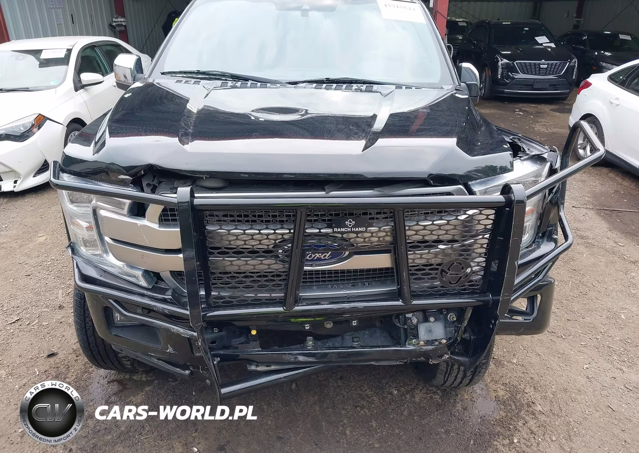 2018 Ford F-150 Platinum VIN:1FTEW1E53JFA42448 - 10