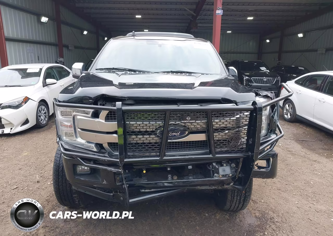 2018 Ford F-150 Platinum VIN:1FTEW1E53JFA42448 - 12