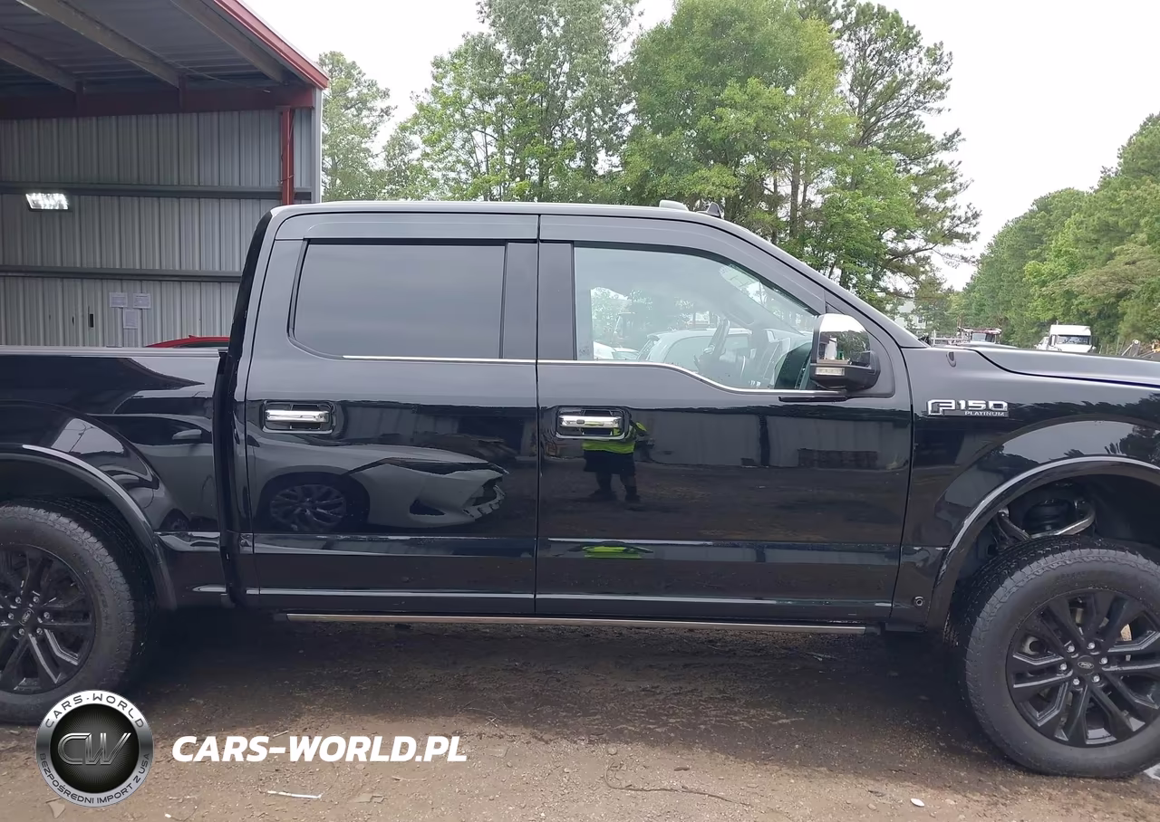 2018 Ford F-150 Platinum VIN:1FTEW1E53JFA42448 - 13