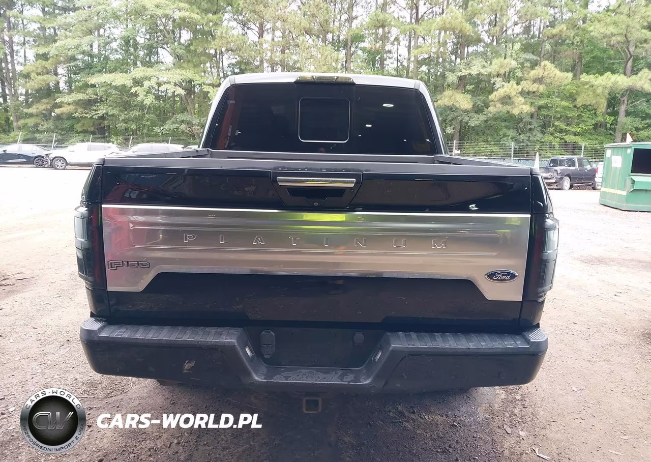 2018 Ford F-150 Platinum VIN:1FTEW1E53JFA42448 - 16