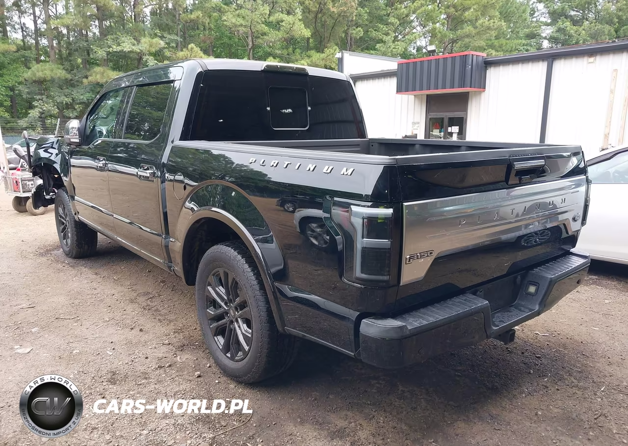 2018 Ford F-150 Platinum VIN:1FTEW1E53JFA42448 - 3