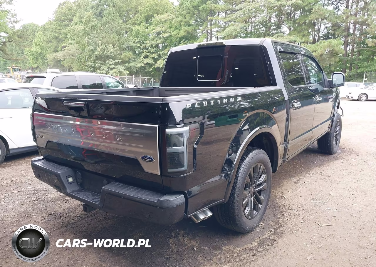 2018 Ford F-150 Platinum VIN:1FTEW1E53JFA42448 - 4