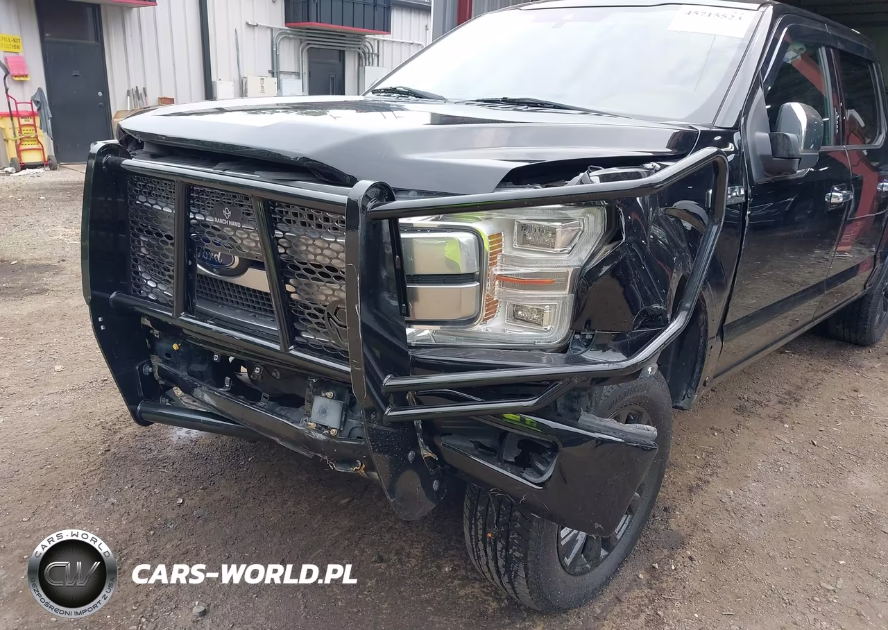 2018 Ford F-150 Platinum VIN:1FTEW1E53JFA42448 - 6
