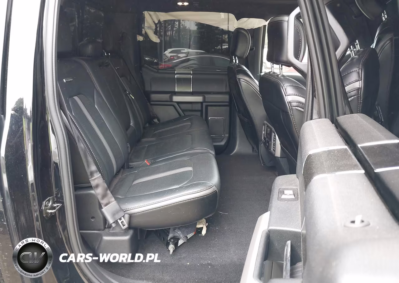 2018 Ford F-150 Platinum VIN:1FTEW1E53JFA42448 - 8