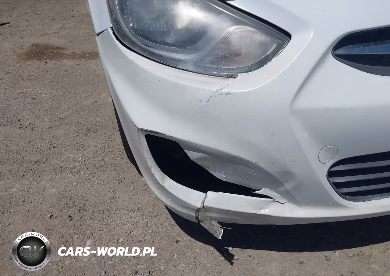 2014 Hyundai Accent Gs VIN:KMHCT5AE0EU176652 - 12