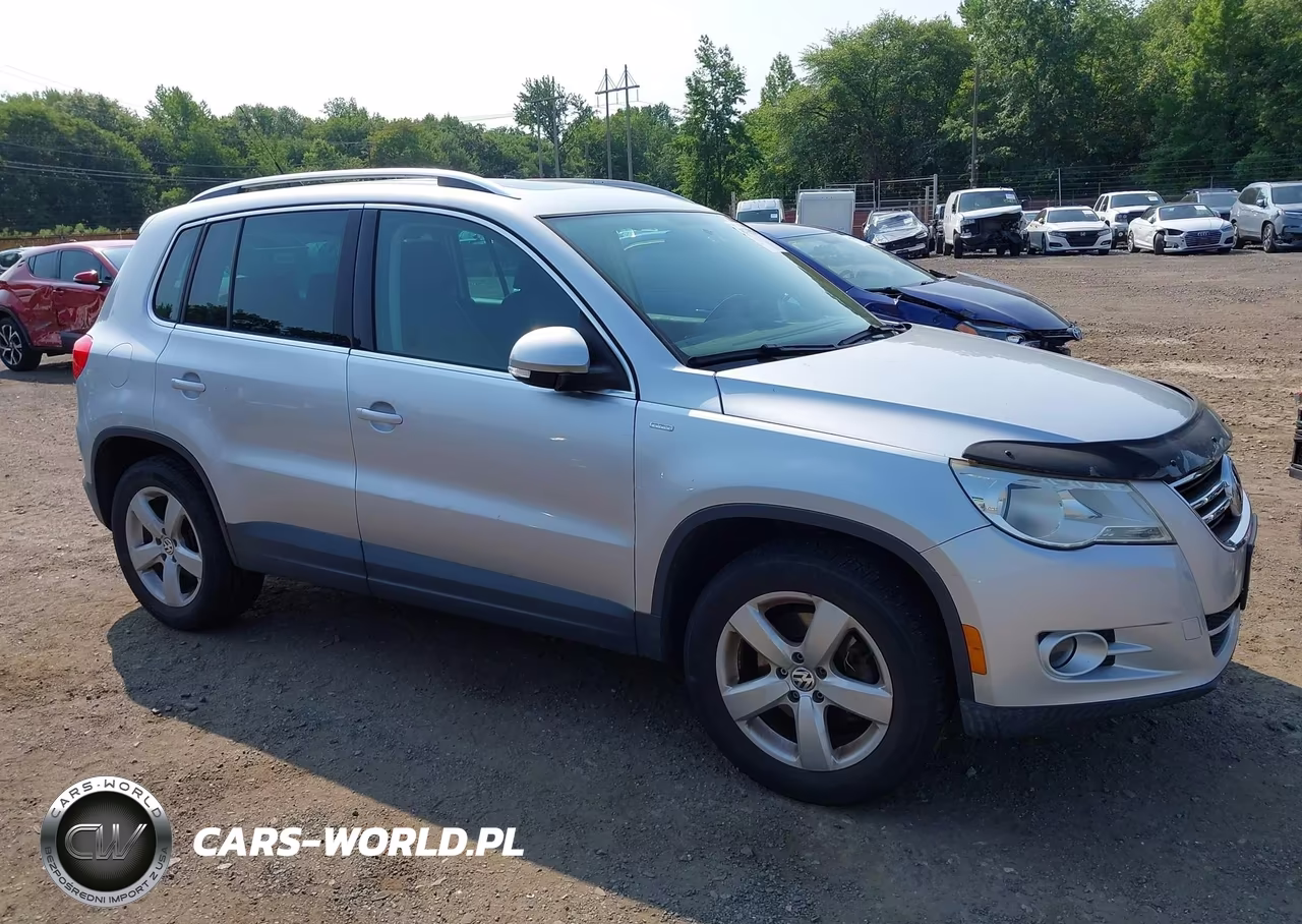 2010 Volkswagen Tiguan Wolfsburg Edition VIN:WVGBV7AX6AW519353 - 12