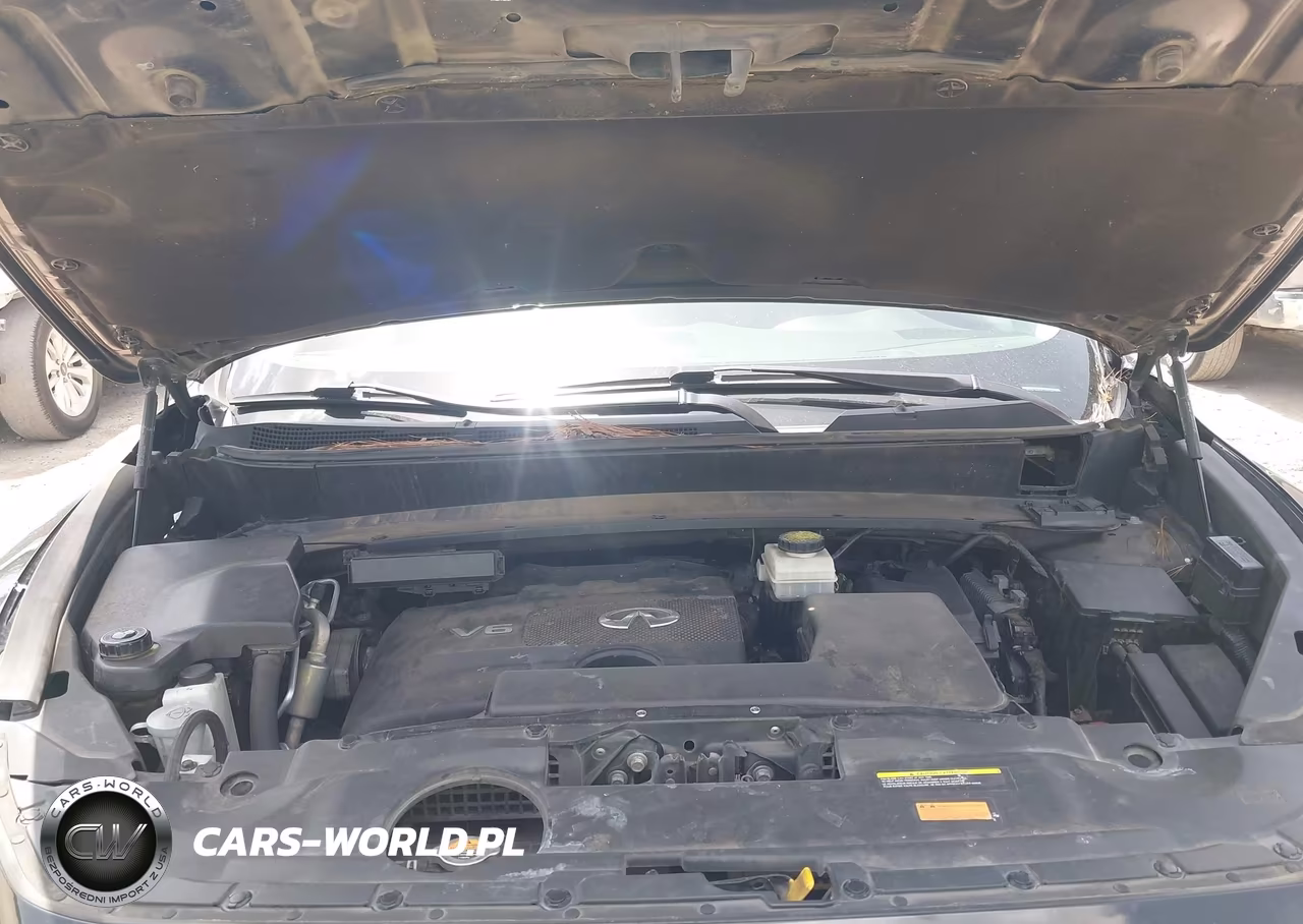 2020 Infiniti Qx60 Pure VIN:5N1DL0MN5LC521423 - 10