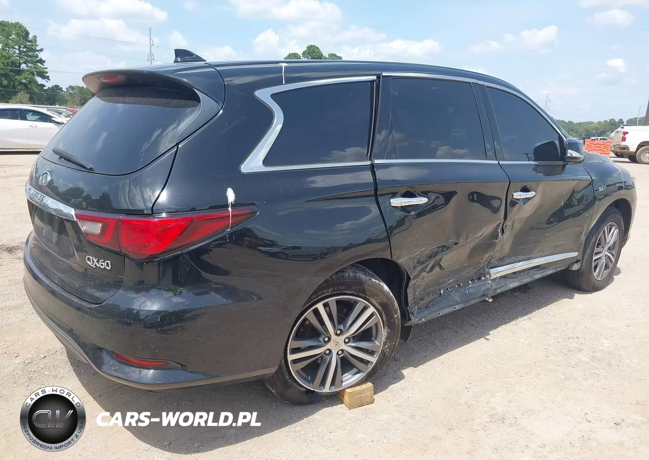 2020 Infiniti Qx60 Pure VIN:5N1DL0MN5LC521423 - 4