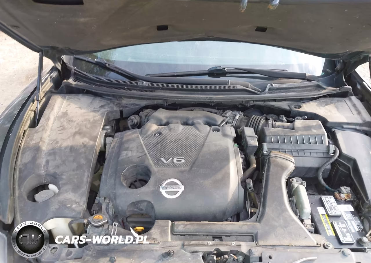 2010 Nissan Maxima 3.5 Sv VIN:1N4AA5AP0AC802886 - 10