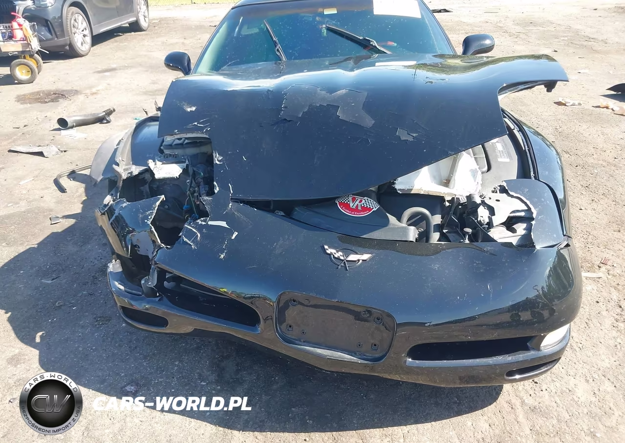 1999 Chevrolet Corvette VIN:1G1YY22G7X5103732 - 12