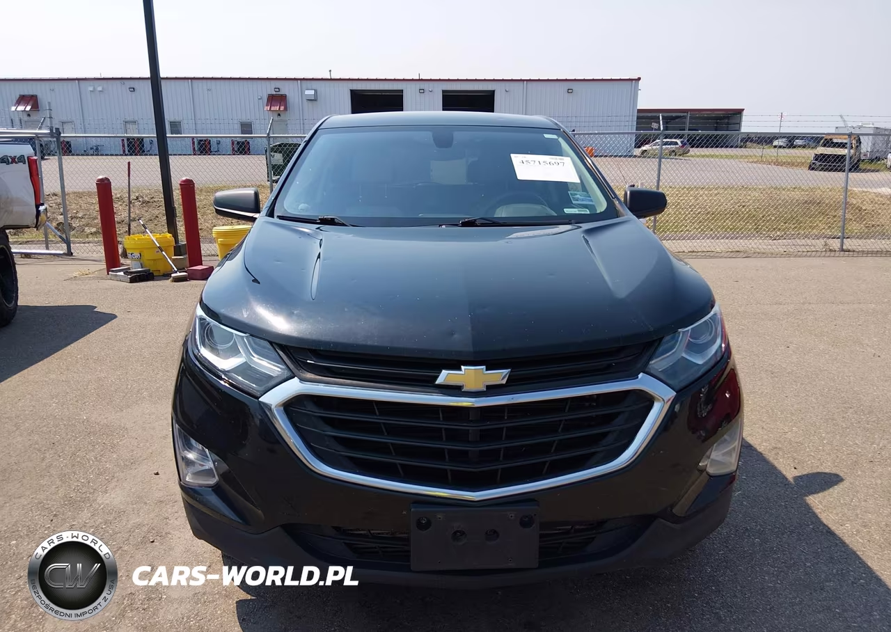2019 Chevrolet Equinox Ls VIN:2GNAXHEV2K6189996 - 12