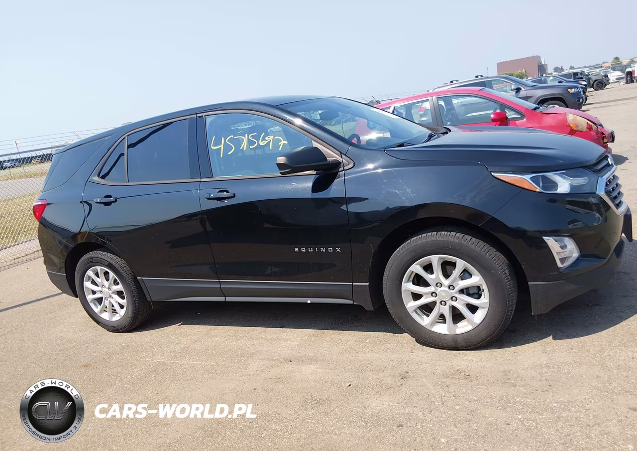 2019 Chevrolet Equinox Ls VIN:2GNAXHEV2K6189996 - 13