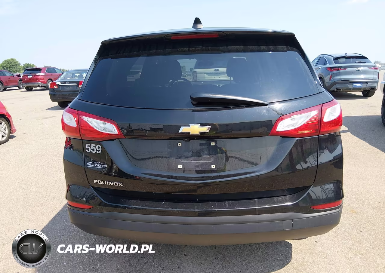 2019 Chevrolet Equinox Ls VIN:2GNAXHEV2K6189996 - 16