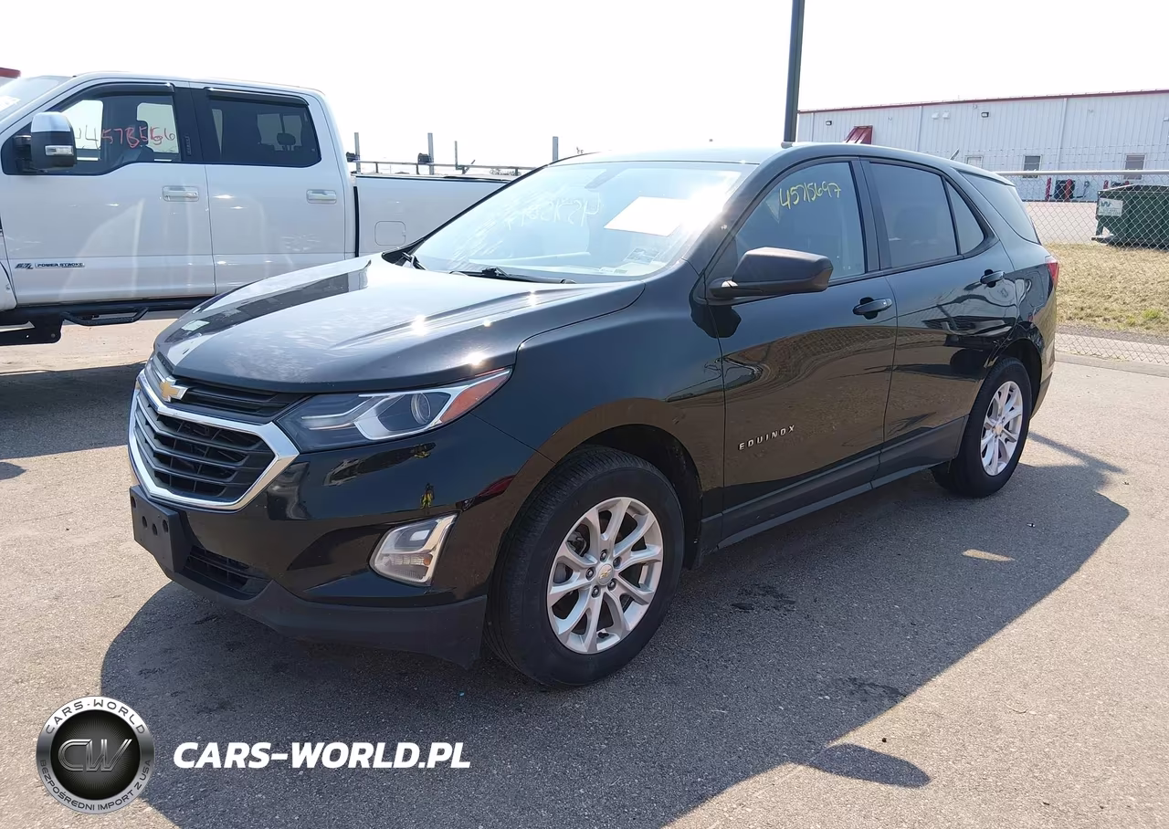2019 Chevrolet Equinox Ls VIN:2GNAXHEV2K6189996 - 2
